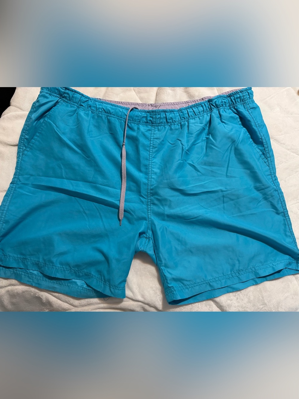 Men's Aqua Blue Swim Shorts 3x